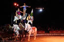 Circus act with horses