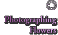Photographing Flowers
