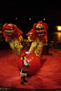 Circus act with giant Chinese lion puppets