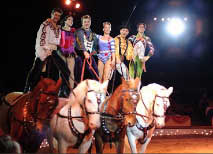 Circus act with white horses